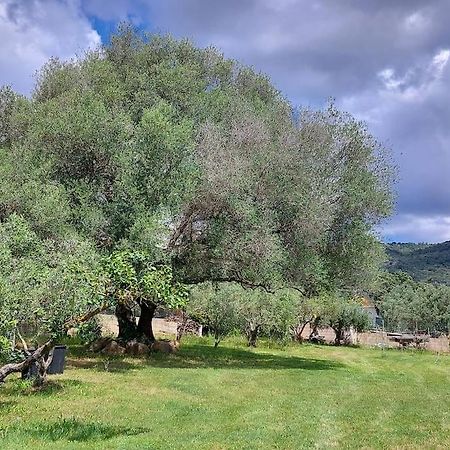 Olbia Grazioso Bilo In Periferia Villa Sole Ruiu Kültér fotó