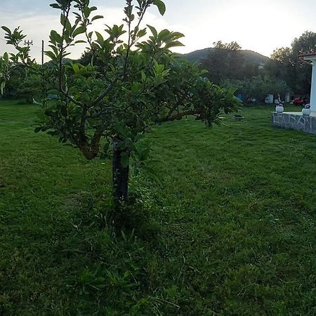 Olbia Grazioso Bilo In Periferia Villa Sole Ruiu Kültér fotó