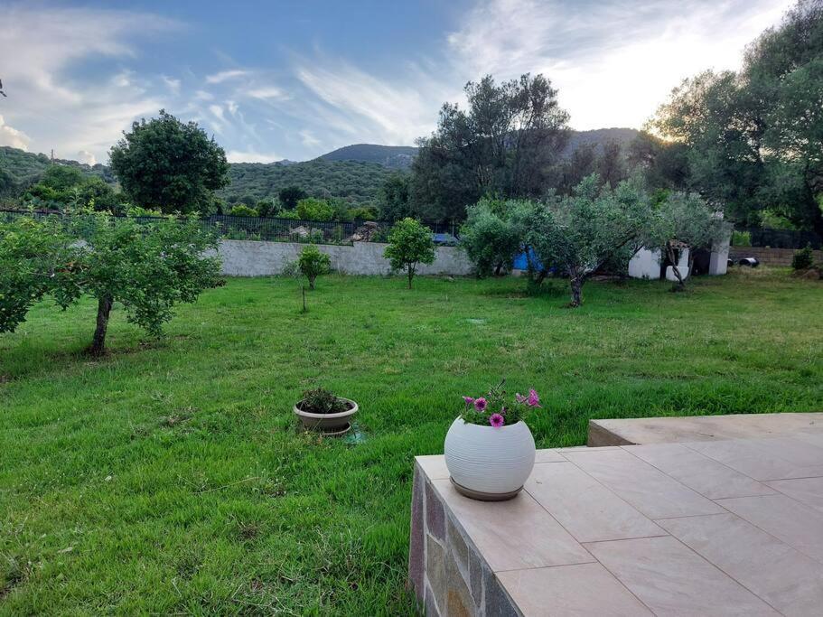 Olbia Grazioso Bilo In Periferia Villa Sole Ruiu Kültér fotó