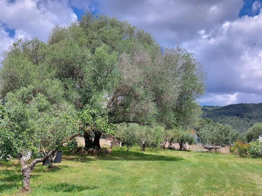 Olbia Grazioso Bilo In Periferia Villa Sole Ruiu Kültér fotó